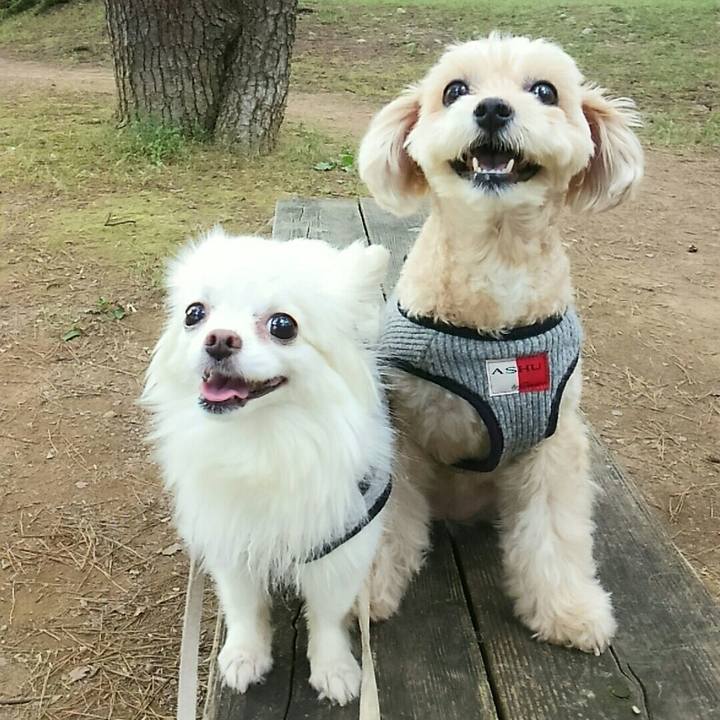 Fc075f27 629a 42ba be88 ca2f1e886c40 1514700278911