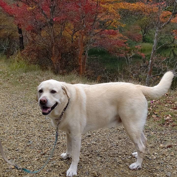 Fc07911a 81d2 4932 ac6a f93a59071517 1665541795006