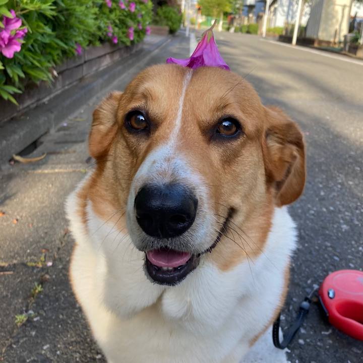 Fc07a1b8 a1fd 404a b0e4 fa13a244e134 1681789701331