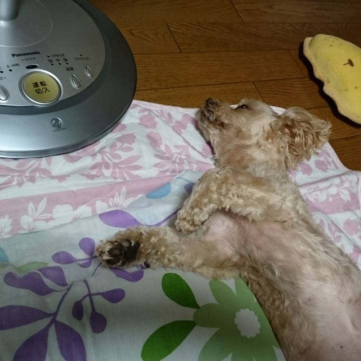 Fc07b397 7530 4e9c 89f4 ab4754b828bb 1593327317571