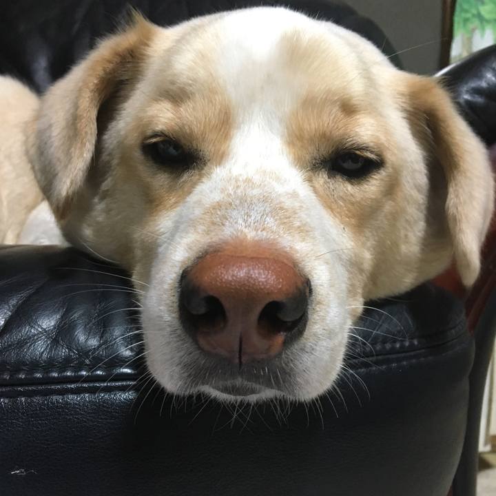 Fc07d101 8ec7 4458 b93b 2de31f59f099 1524410282443