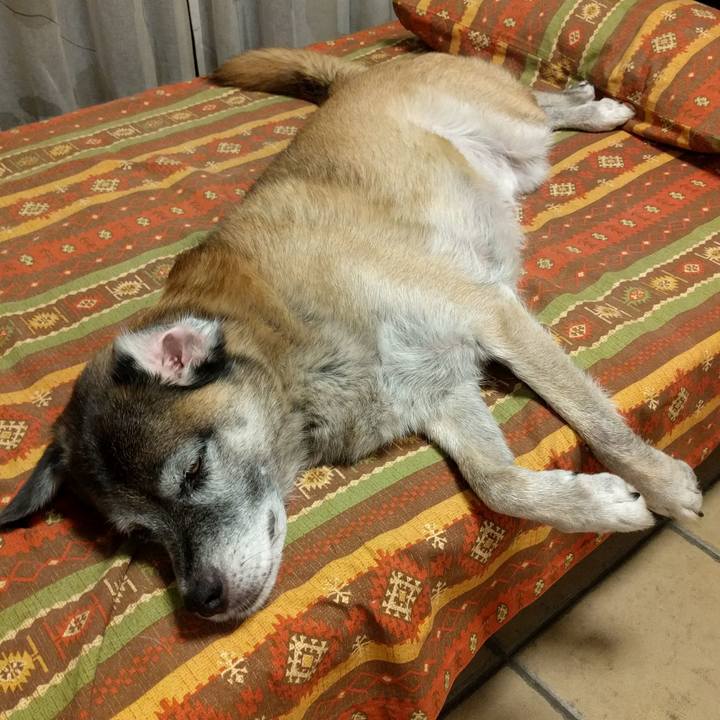 Fc07d3b5 b01d 4dbb abee b0e849efb64d 1534863420309