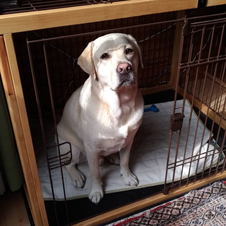 Fc07fd23 0edf 4662 be00 5f367604748b 1539564095458