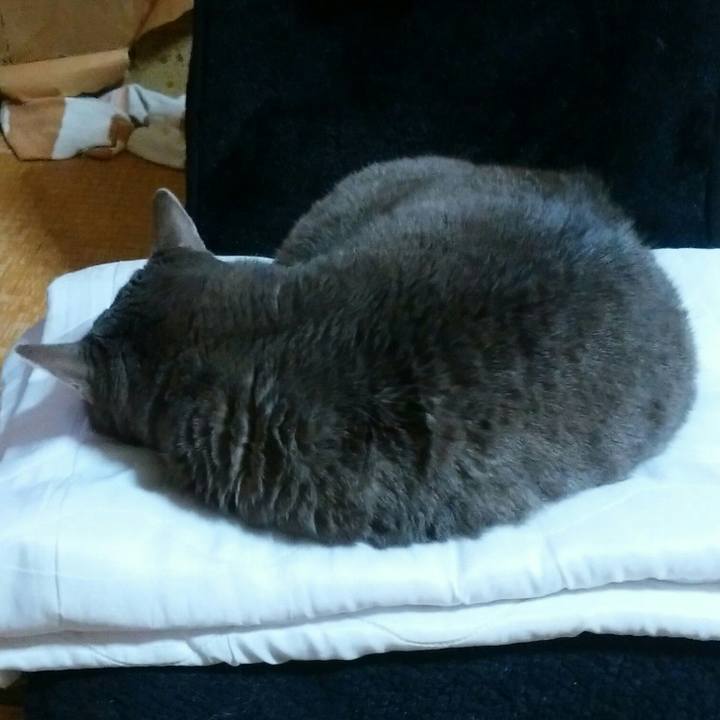 Fc07ff6c 9a3c 4476 b22f 6f01a2842f9b 1555503698162