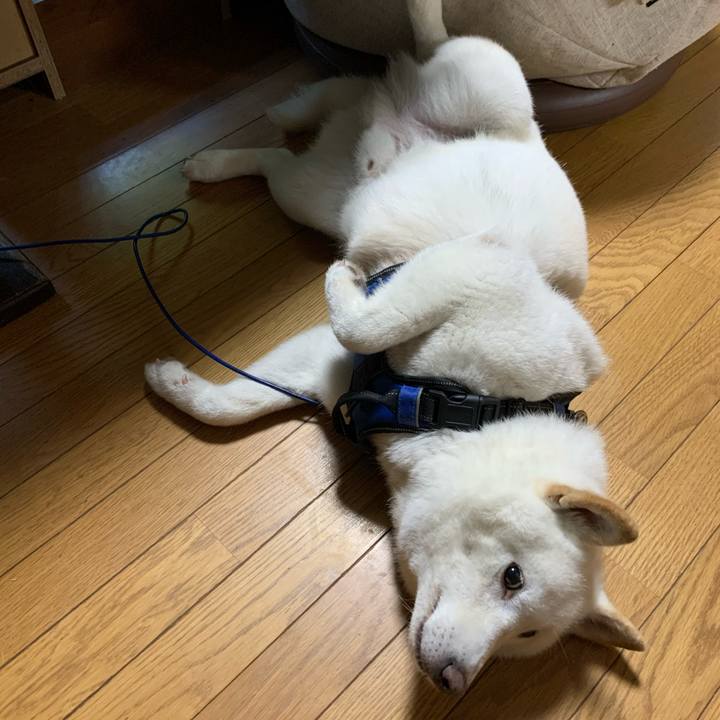 Fc082a0d 9e56 453a a6a3 0d05e6df6a0b 1660683394260