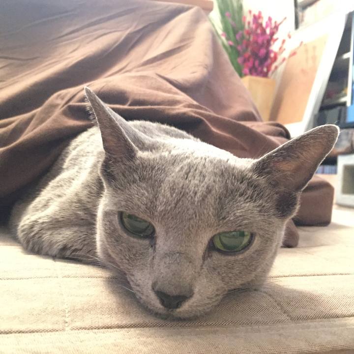 Fc084363 e8bf 4367 8a61 67def8f62441 1512689233504