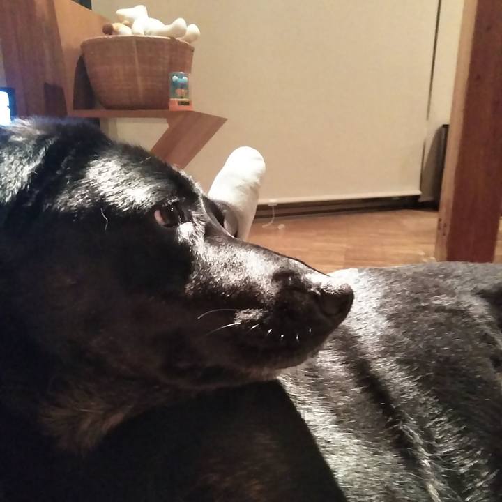 Fc084793 12a5 4067 9dcf c56bfbad5844 1581931125758