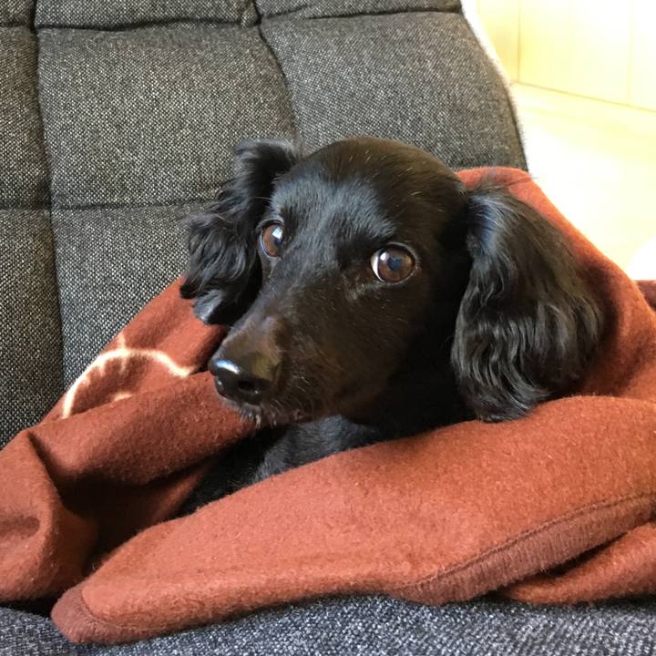 Fc0852a5 de70 455a 83a3 394fcfcb7161 1510698796817