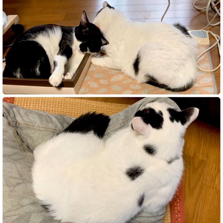 Fc08658c c23e 4882 a401 842b411380b1 1602118153913