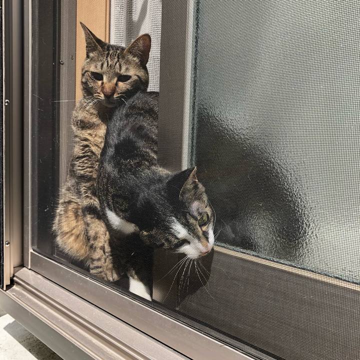 Fc086885 1b2b 419d ac33 4b579498ad24 1522528369649