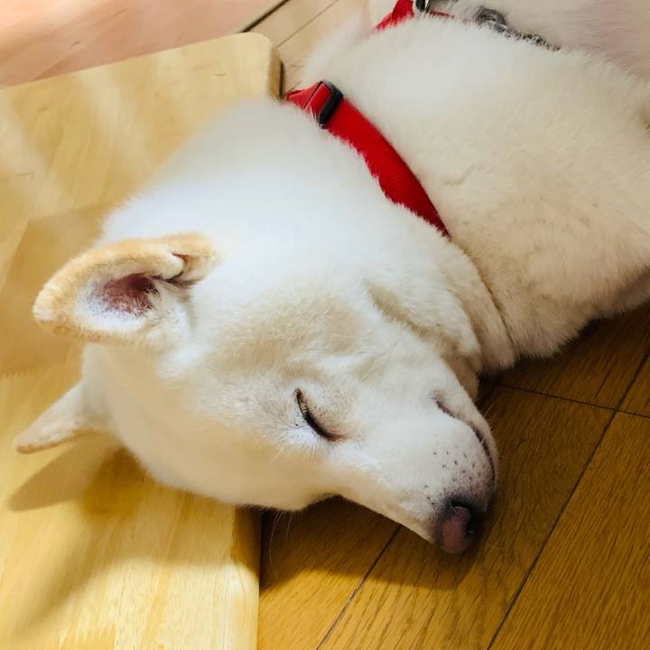 Fc087057 2b73 4a18 a7c6 bce1fde112b1 1606458168298