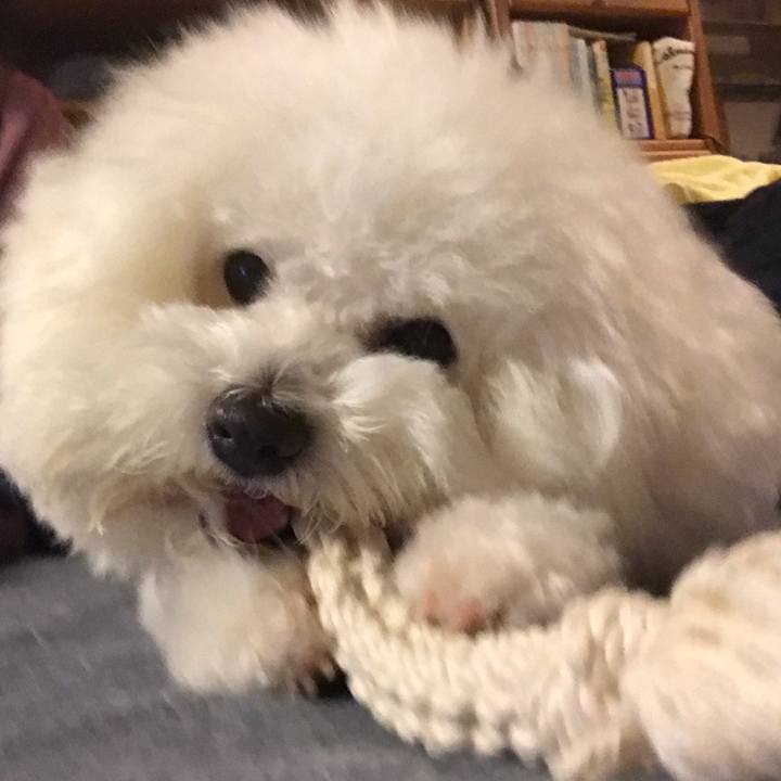 Fc0890c7 20e6 4d83 bce0 7d7b53f775c9 1601641813378