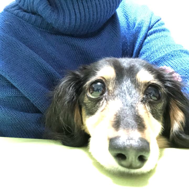 Fc0908be 3aa8 40e3 abb4 cbee47bbeaa2 1548246408181