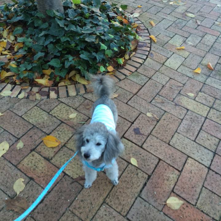 Fc092fc7 30b4 4fb4 a99c 0901b86a09cc 1764635648482