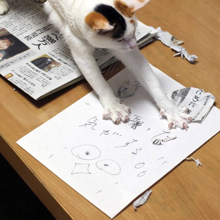 Fc0990b4 07d7 4c8b b38c 3e66715d6d33 1547525357474