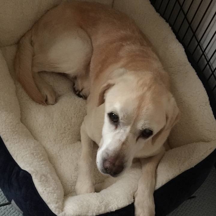 Fc09c659 6587 4028 8bd8 9b17cd50e534 1577363969652