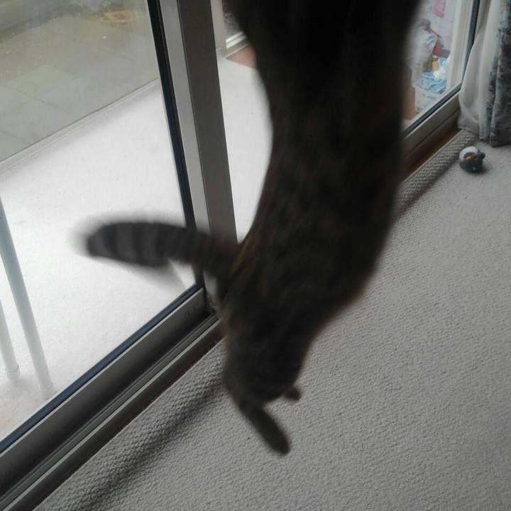 Fc09e158 05d6 497c 98af effe04460639 1570201531172