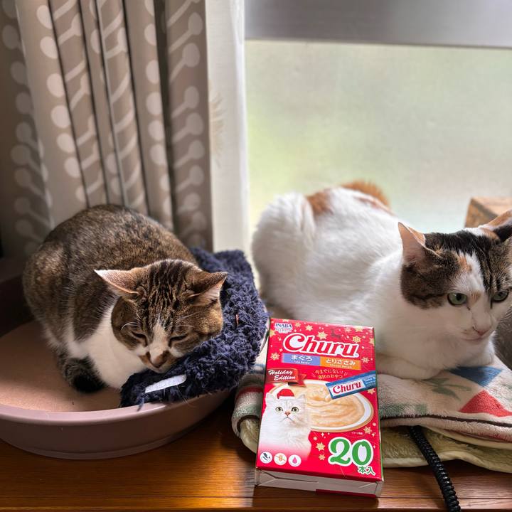 Fc09fdbb 30eb 4c86 ae4f 8997c3ff8d81 1735951339875