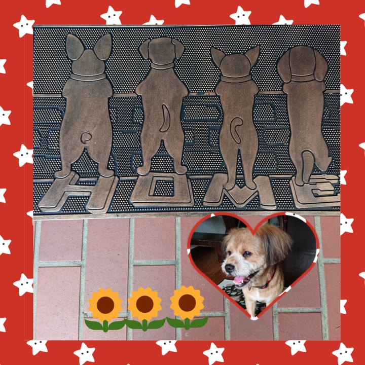 Fc0a131b 12eb 4fa2 9320 e335ee10037b 1566210506897