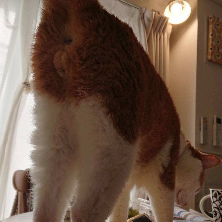 Fc0a3719 4512 4fef 9356 c976f04da92a 1579238550044