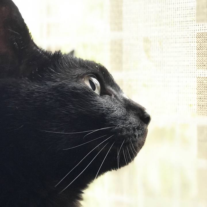 Fc0a47f5 4d0a 47d4 9fe5 97a6b0739fdd 1525829220964