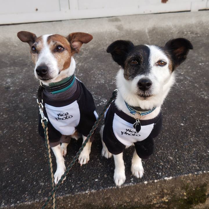 Fc0a497e c115 4da8 8f59 ca1fd9a077cd 1762206533513