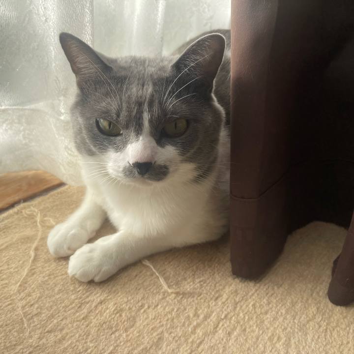 Fc0a4d98 df56 4402 bb62 bdb89b6146a3 1670198435187