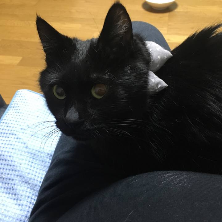 Fc0a5d28 ab09 465e a621 efacb9a6cb51 1544700229507