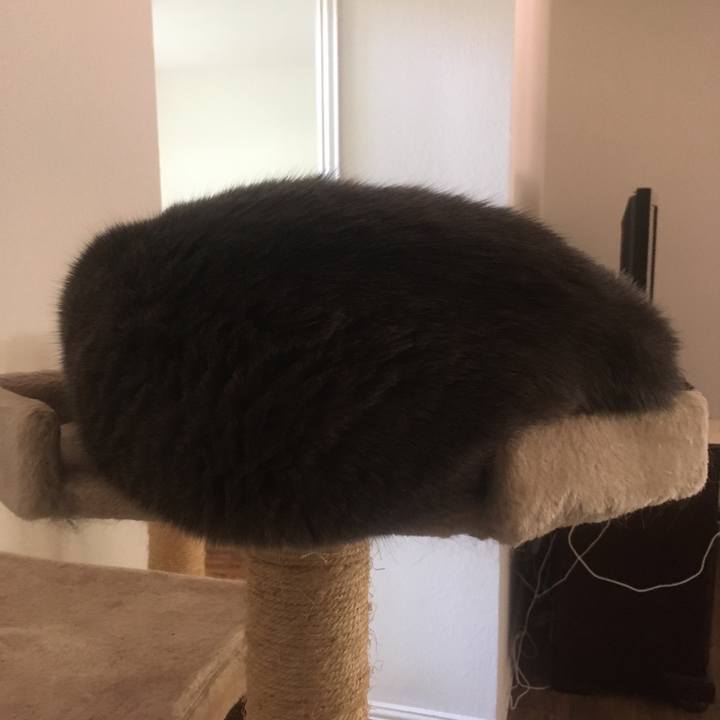 Fc0a8079 56bb 4f14 9a9e e2c18513ea0f 1654905921951