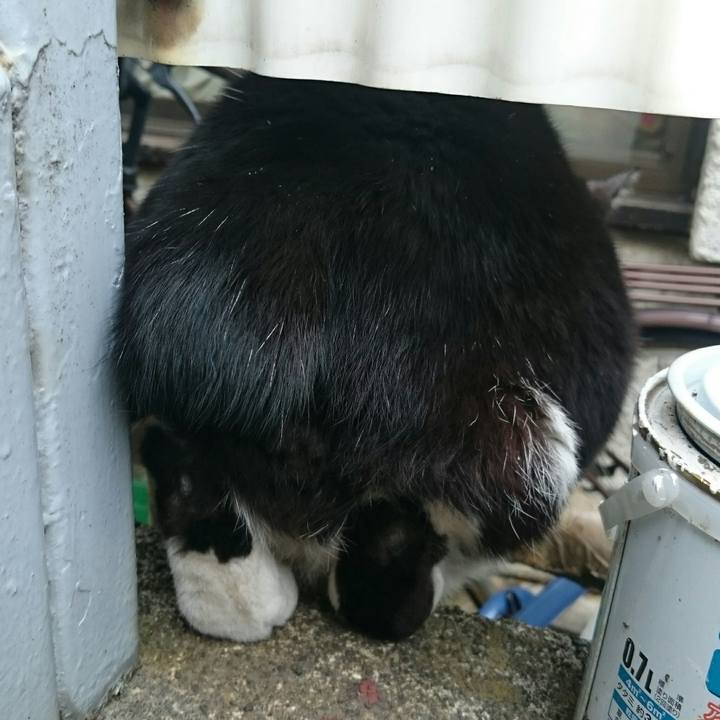 Fc0aaa91 6db4 4da5 ba92 ac9418c7dabb 1514347012236