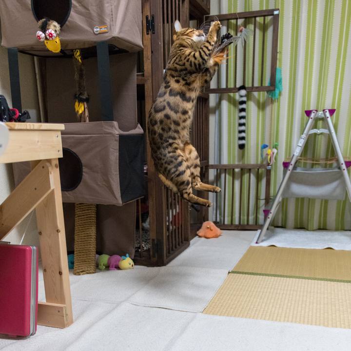 Fc0acaf5 d1f3 422b 94f7 38068f49340d 1518605460097