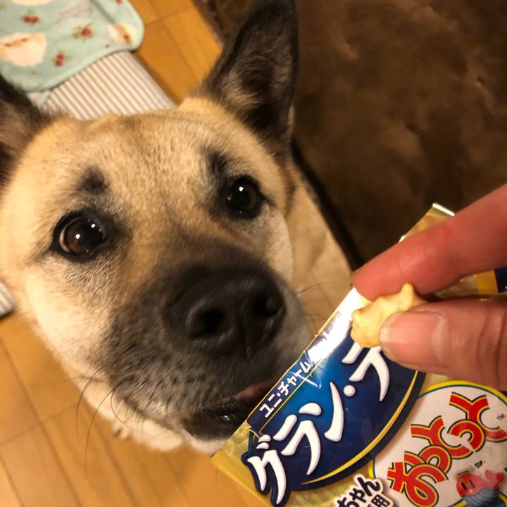 Fc0ad779 3130 41b1 946e 8f8b63190b72 1590490955030