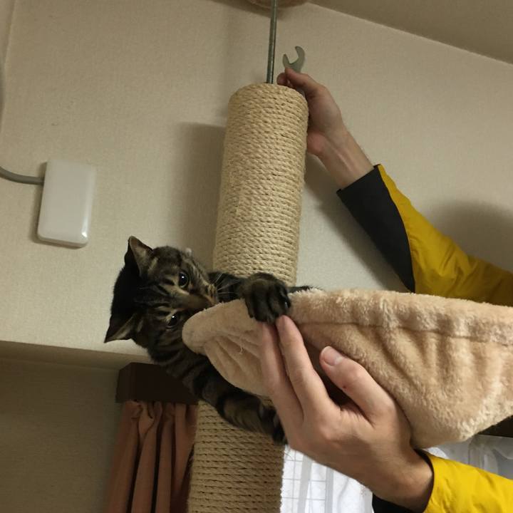 Fc0adbb1 2b47 4fea 96c6 86221f4fecde 1552702120763