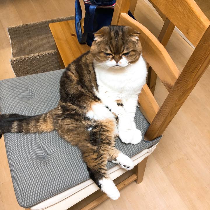 Fc0bb98c b6aa 46c0 8c9d 542213e7076e 1547875991894