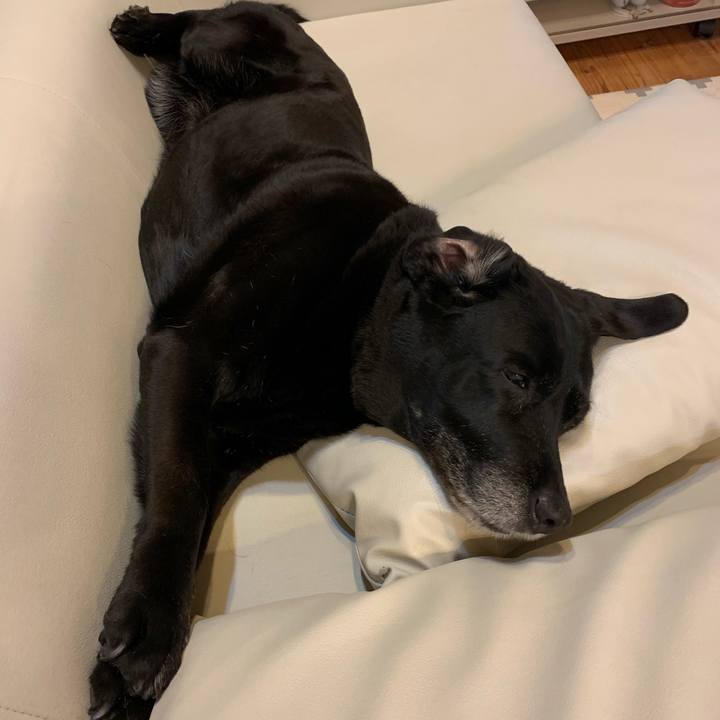 Fc0bcd18 b66d 4119 a1c6 c984bb8ed8d1 1552111908252