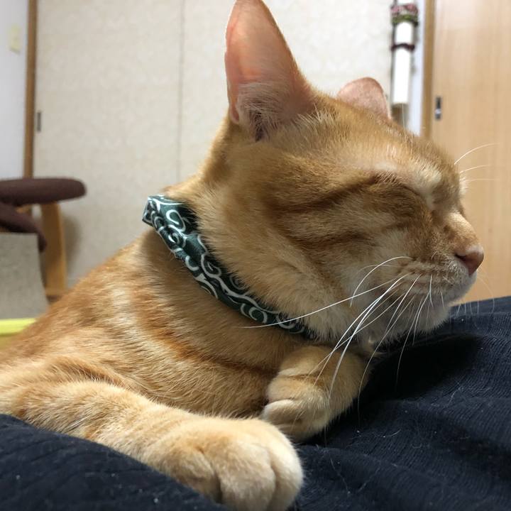 Fc0bf643 24e7 43c2 a3ee 57c3e7d71dd8 1578668041628