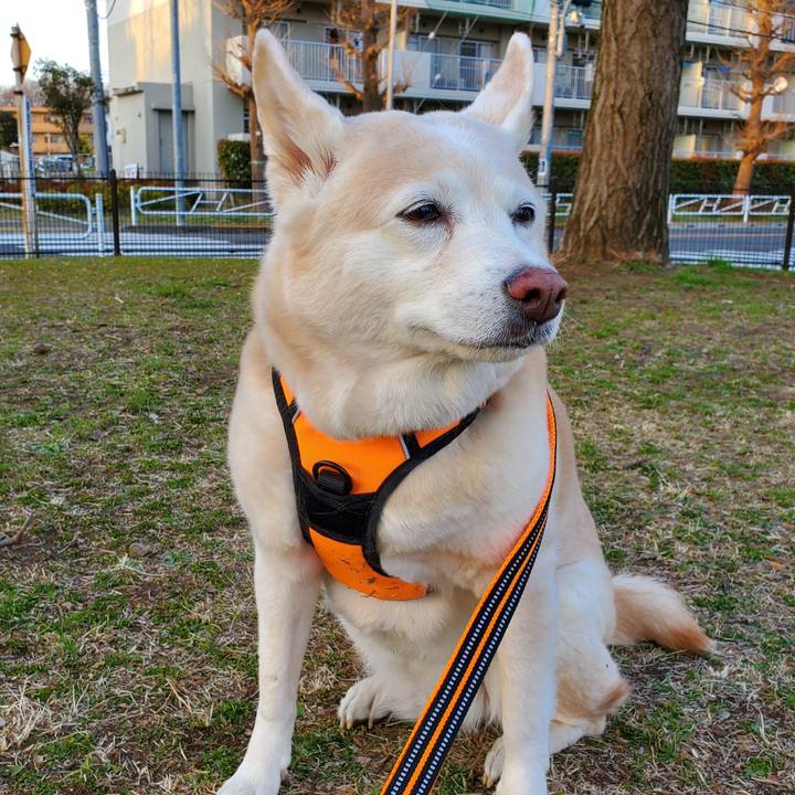 Fc0bf66f c254 4415 b19b f6172162a342 1615882049413