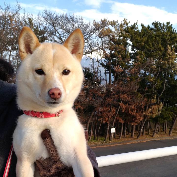 Fc0c2e14 648d 4228 bd9e 178008b31eee 1517222798524