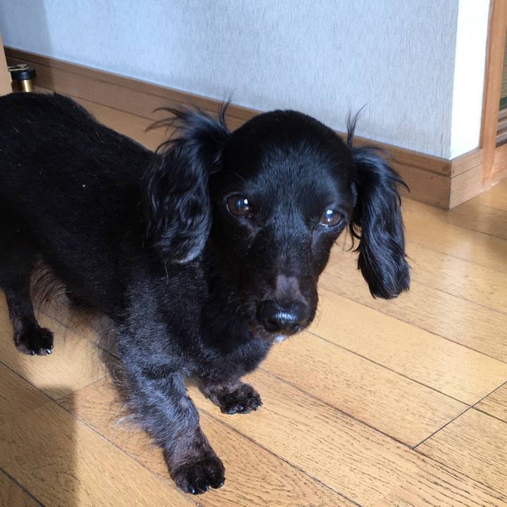 Fc0c730d 9781 49c8 afe0 f36560168f23 1527460694987