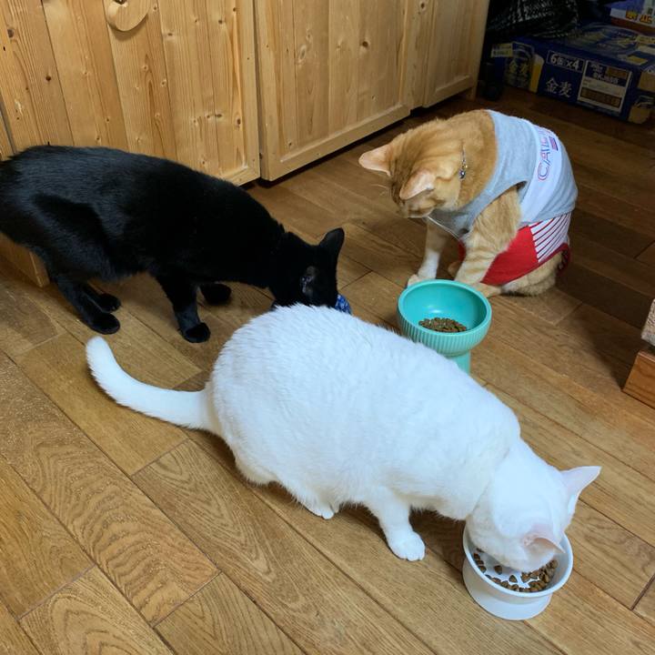 Fc0cbc82 537d 4a53 9f44 fc8f433dc5b0 1612664678176