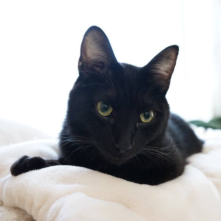 Fc0ce342 3f6d 40f4 85dd 6a7f2b731aee 1545695796450