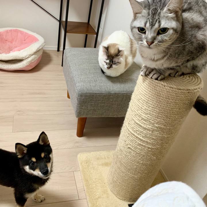 Fc0d3071 0bbd 4c35 870f dc22ec8e1404 1556423701990