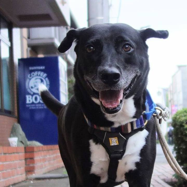 Fc0da202 d6fe 4b3f 8cb4 a24da33cc46c 1660348826003