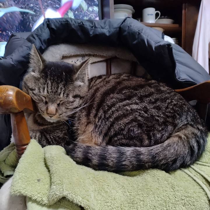 Fc0da2c4 4628 49a7 b626 369165ddfb03 1681617678091