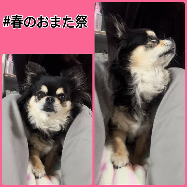 Fc0db071 c4d4 4f08 bb00 56f70007dd88 1709855638056