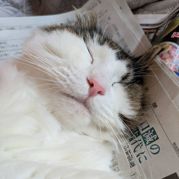 Fc0db245 9e63 45a4 9ab4 25f9182d8e5f 1762516712853