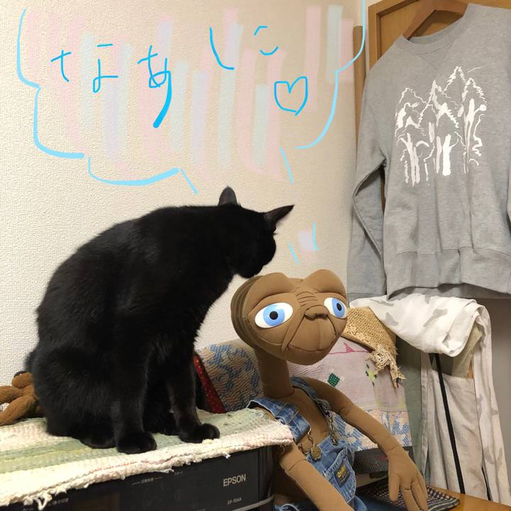 Fc0deb69 0e26 4a24 9fc8 d9d84866140e 1542982162554