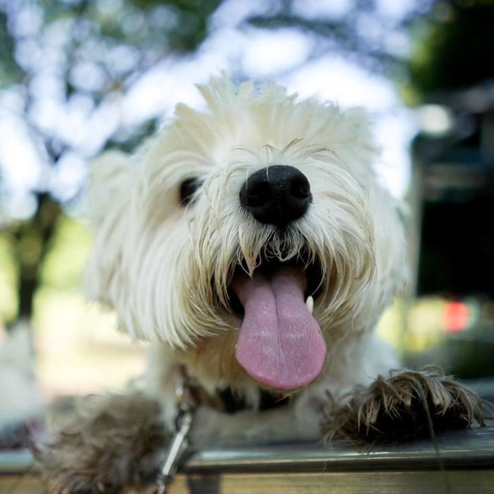 Fc0df8e0 635c 4535 8761 3befdc492822 1533117332478