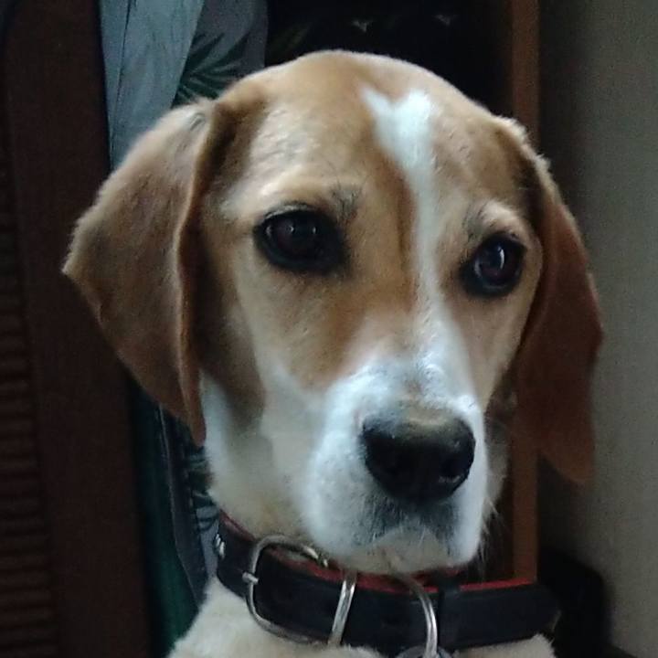 Fc0dfc2a 70bd 4ce3 85eb 4b4511bb909b 1654925172563