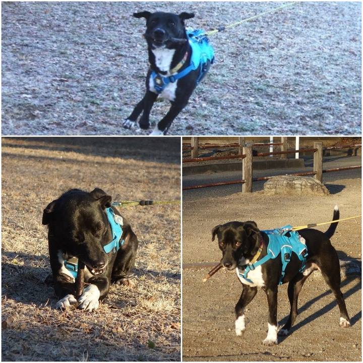 Fc0e0704 bfb2 4c15 9fd9 400be804df1d 1609547205167